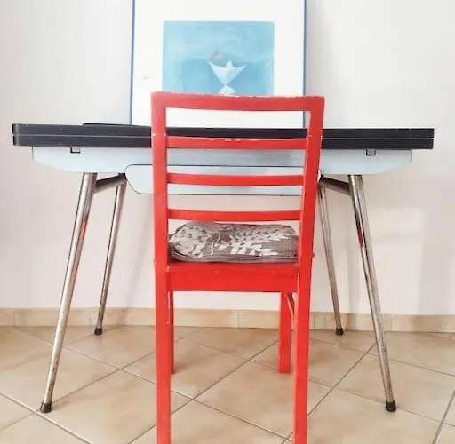 Campanule Provence Verdon *