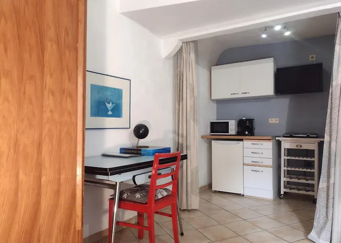 Campanule Provence Verdon