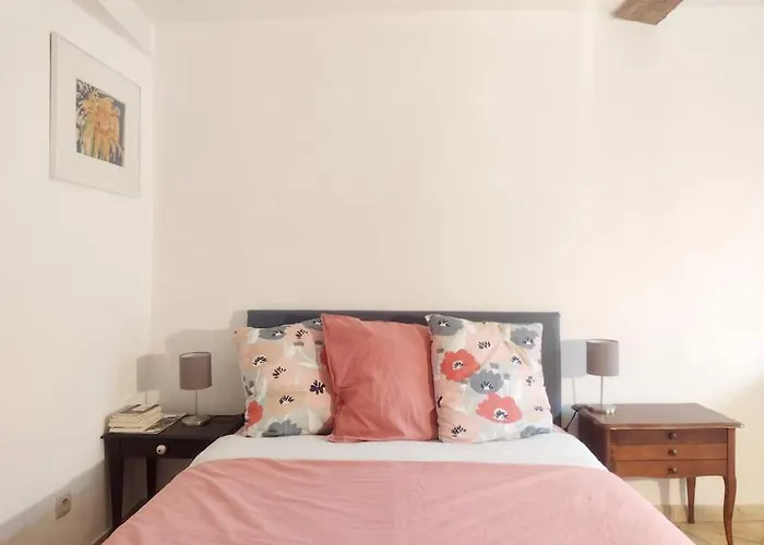 Campanule Provence Verdon Appartement Riez